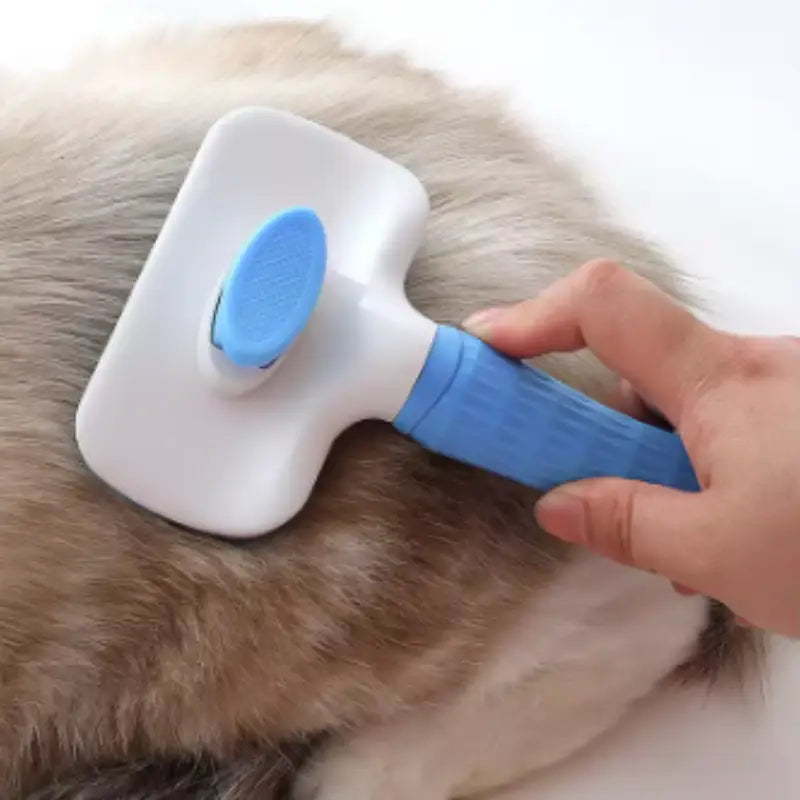 Pet Grooming Brush for Gentle Fur Detangling