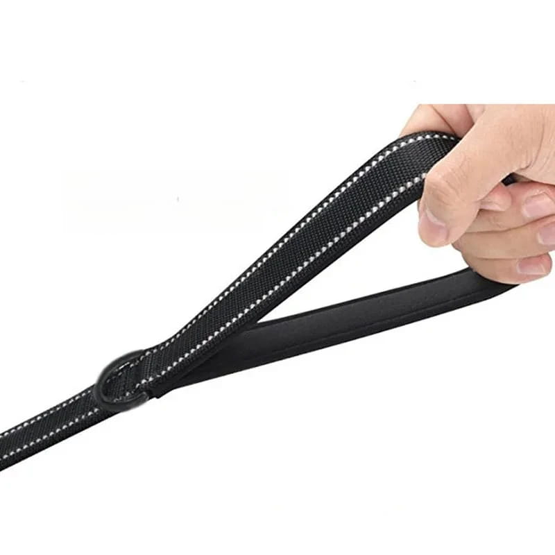 Dual Handle Dog Leash for Total Control and Safety