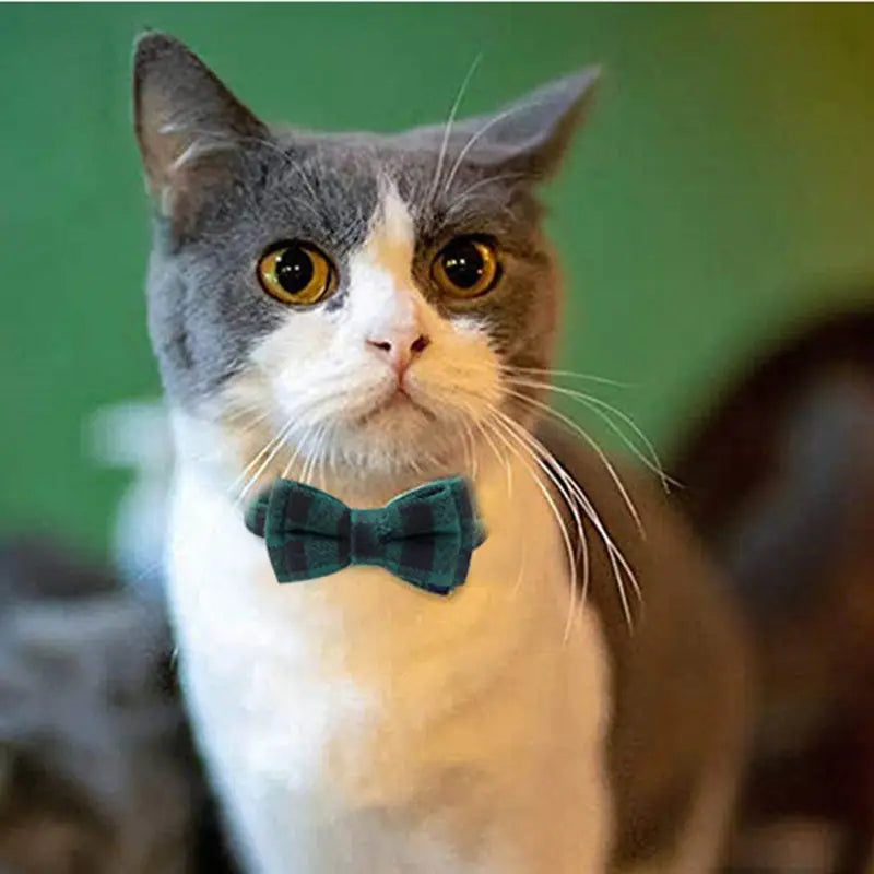 Adjustable Breakaway Cat Collar with Bow and Safety Bell