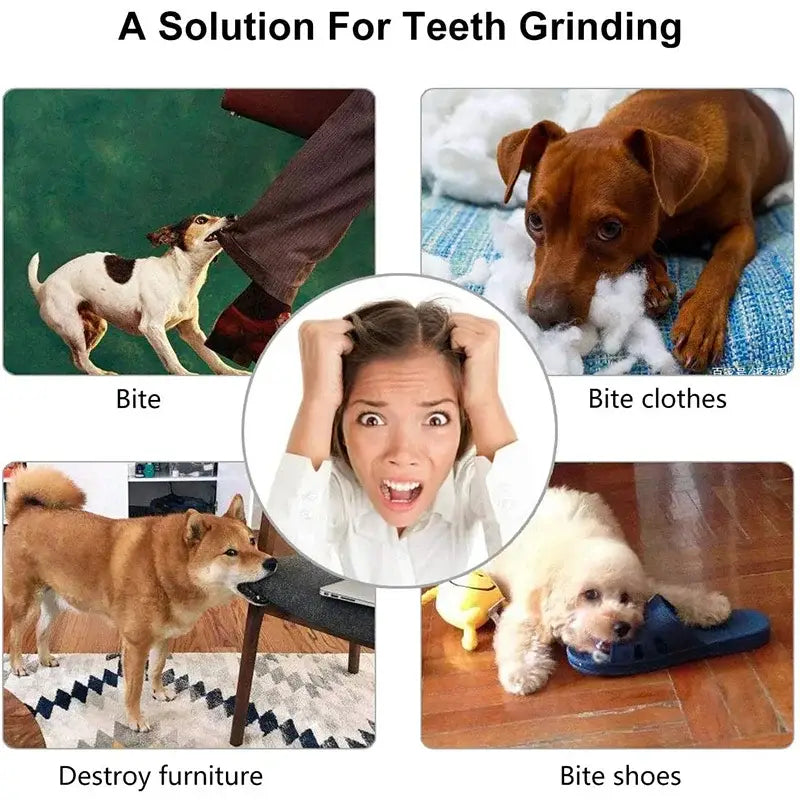 Dental Health Dog Ball That Dispenses Treats