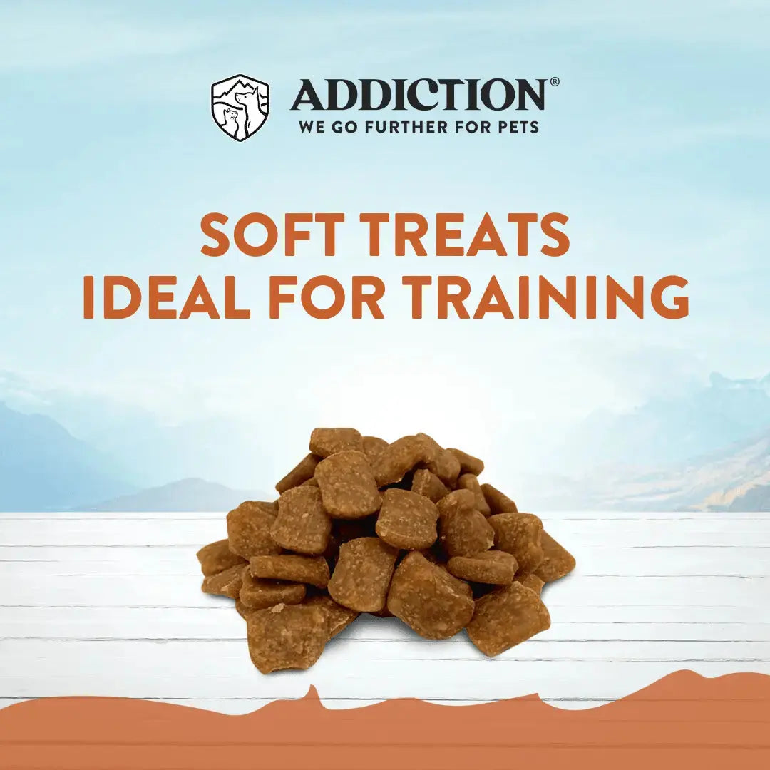 Addiction Kangaroo Air-Dried Dog Food & Treats Duo Addiction Pet Foods USA