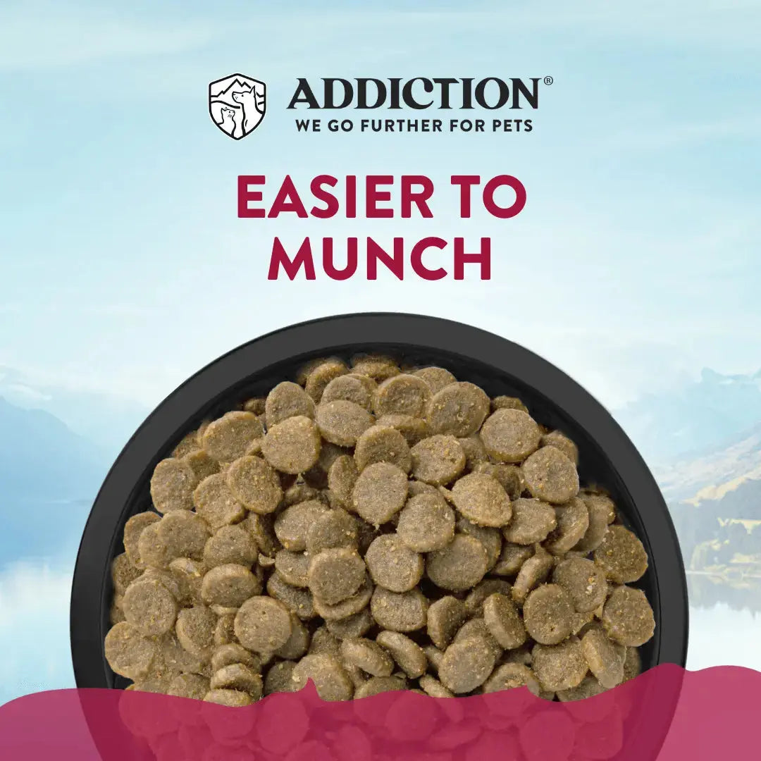 Addiction Viva La Venison Small Breed Dog Food & Meaty Bites Treats Bundle Addiction Pet Foods USA