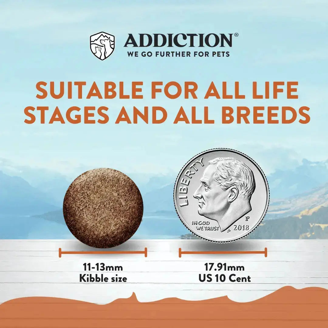 Addiction Wild Kangaroo Dry Dog Food & Meaty Bites Dog Treats Bundle Addiction Pet Foods USA