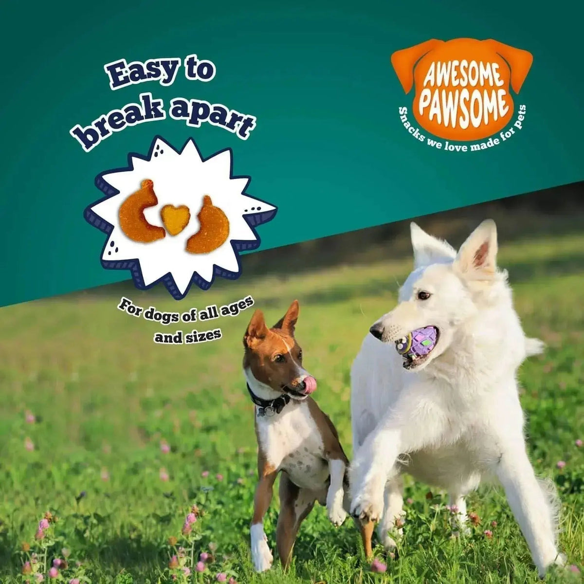 Addiction Zen Vegetarian Dog Food & Vegan Treats Bundle Addiction Pet Foods USA