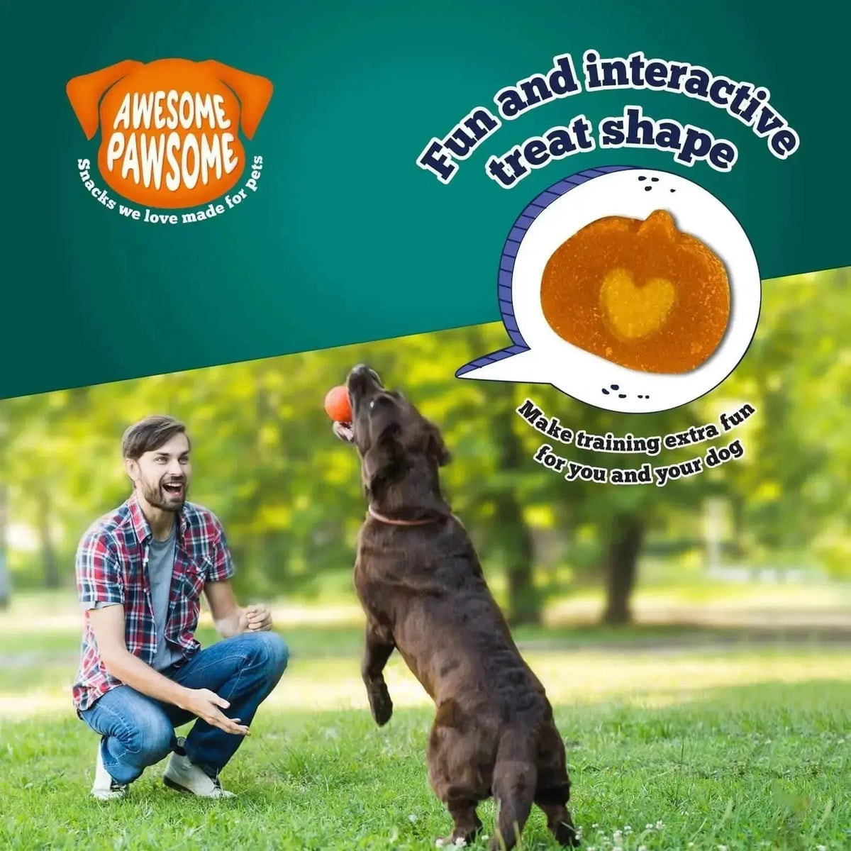Addiction Zen Vegetarian Dog Food & Vegan Treats Bundle Addiction Pet Foods USA