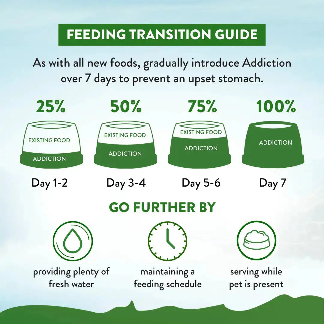 Addiction Zen Vegetarian Dog Food & Vegan Treats Bundle Addiction Pet Foods USA