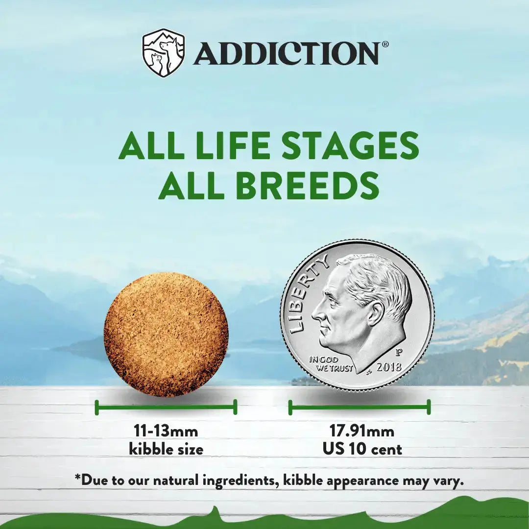 Addiction Zen Vegetarian Dog Food & Vegan Treats Bundle Addiction Pet Foods USA