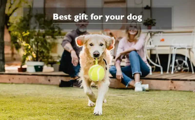 Interactive Dog Ball, Upgraded Motion-Activated Automatic Rolling Toy, USB Rechargeable