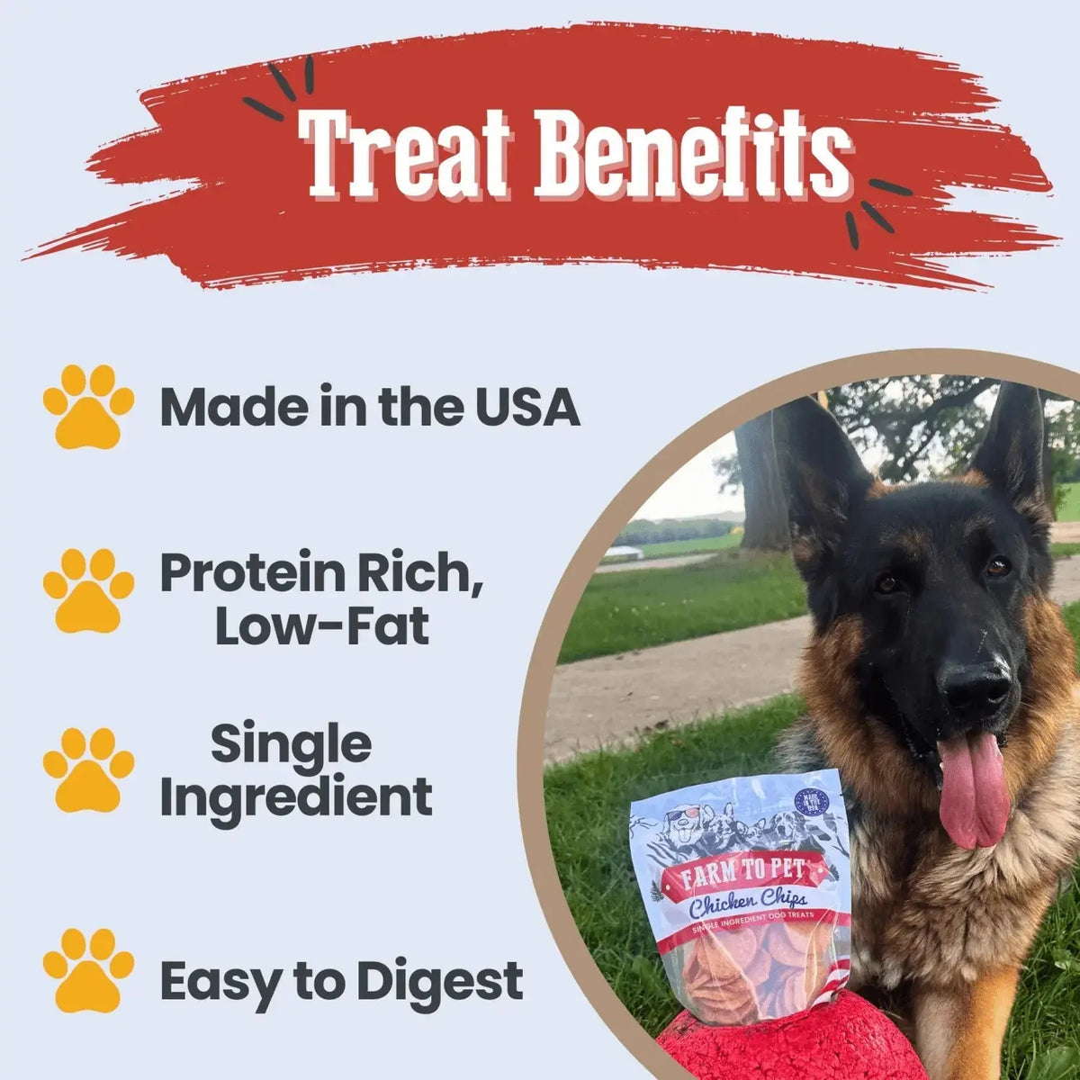 Americana Chicken Dog Treats | Celebrate with USA-Made Treats - Chip