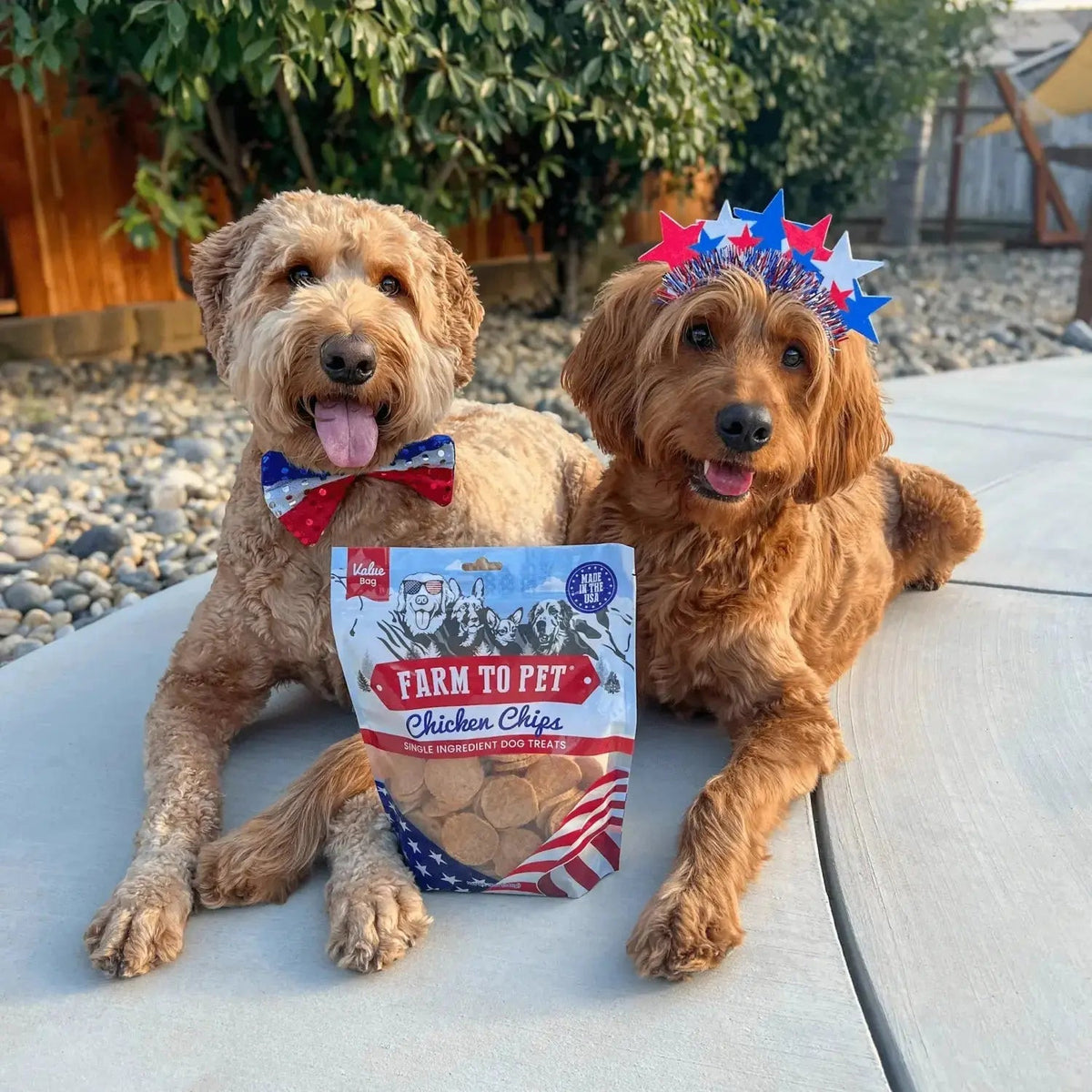 Americana Chicken Dog Treats | Celebrate with USA-Made Treats - Chip