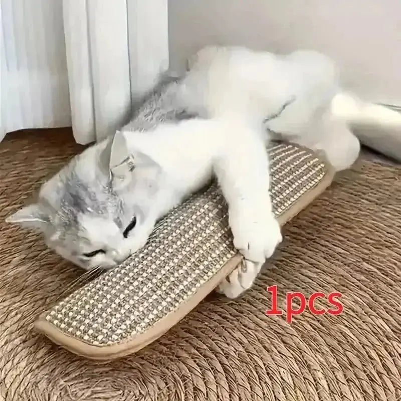 at Toy Game Pillow and Cat Scratching Pad for Solo Play and Intimate Interaction to Keep Your Feline Friend Happy