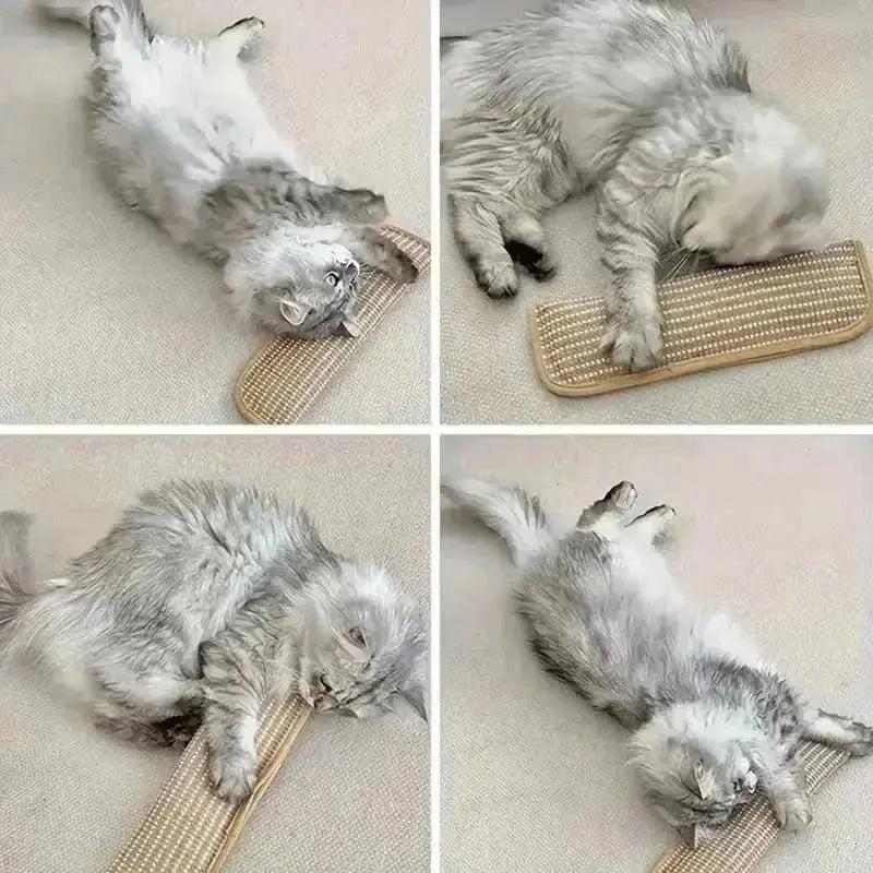 at Toy Game Pillow and Cat Scratching Pad for Solo Play and Intimate Interaction to Keep Your Feline Friend Happy