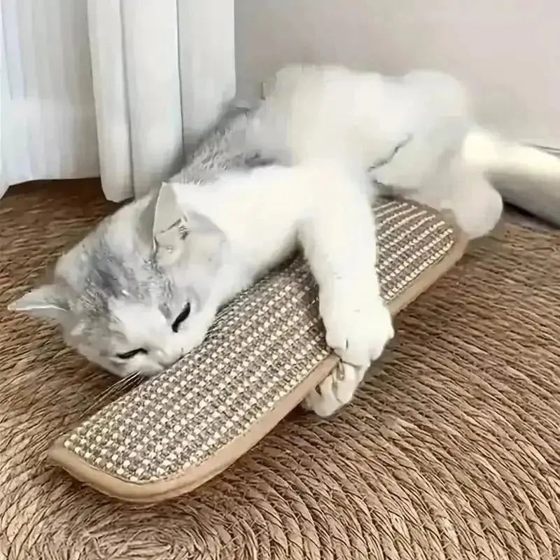 at Toy Game Pillow and Cat Scratching Pad for Solo Play and Intimate Interaction to Keep Your Feline Friend Happy