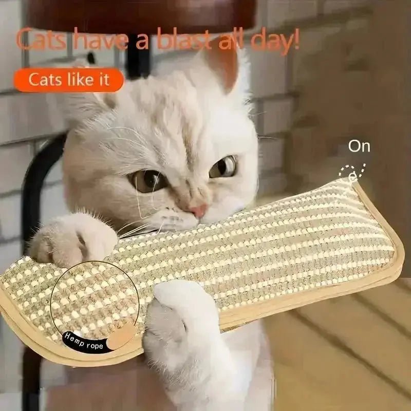 at Toy Game Pillow and Cat Scratching Pad for Solo Play and Intimate Interaction to Keep Your Feline Friend Happy
