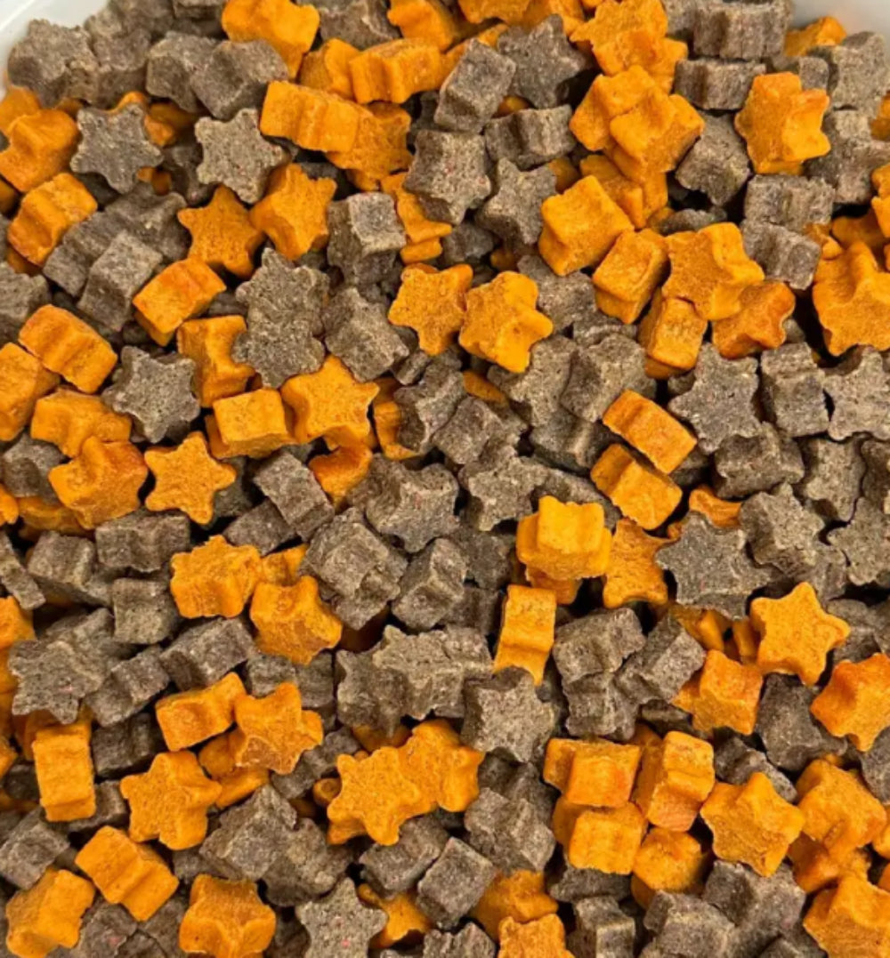 BeyondWhiskers blueberry pumpkin dog treats