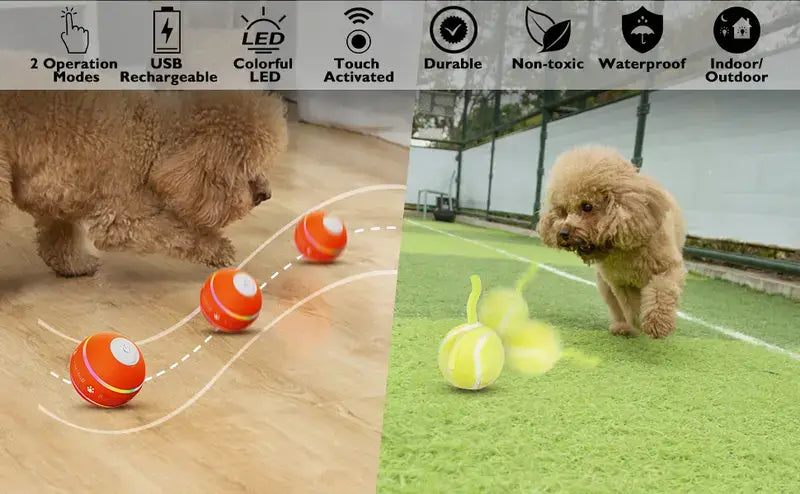 Interactive Dog Ball, Upgraded Motion-Activated Automatic Rolling Toy, USB Rechargeable