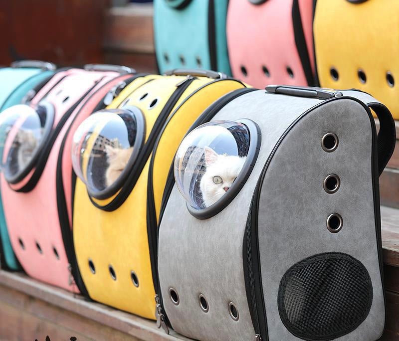 Backpack for cats and dogs - True Pet Market