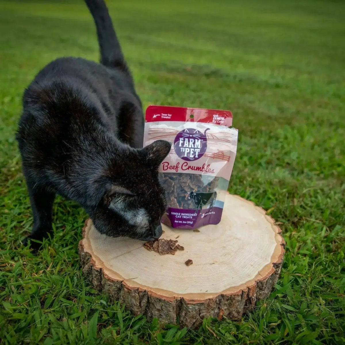 Beef Cat Treats | High Protein Treats for Cats - Crumble