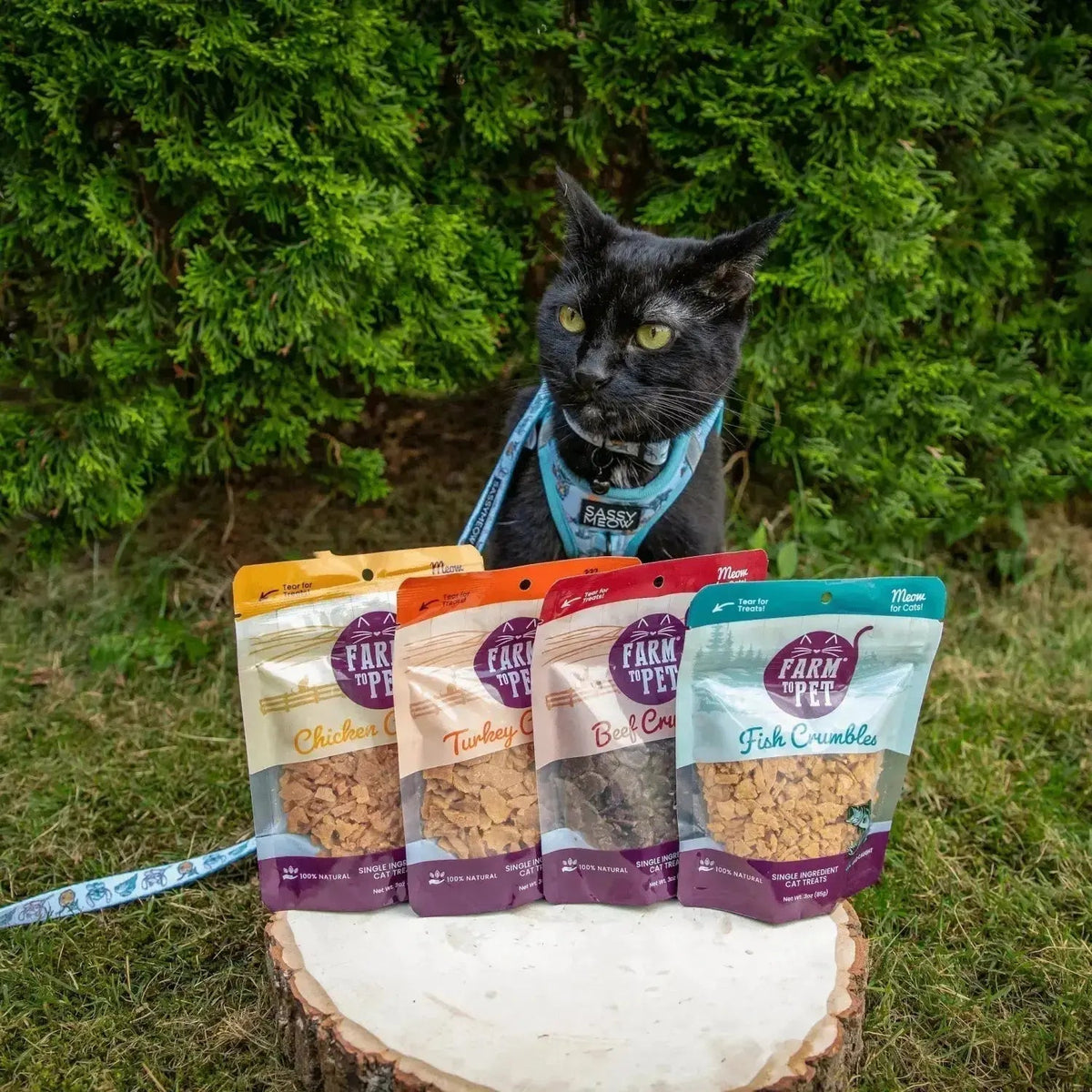 Beef Cat Treats | High Protein Treats for Cats - Crumble