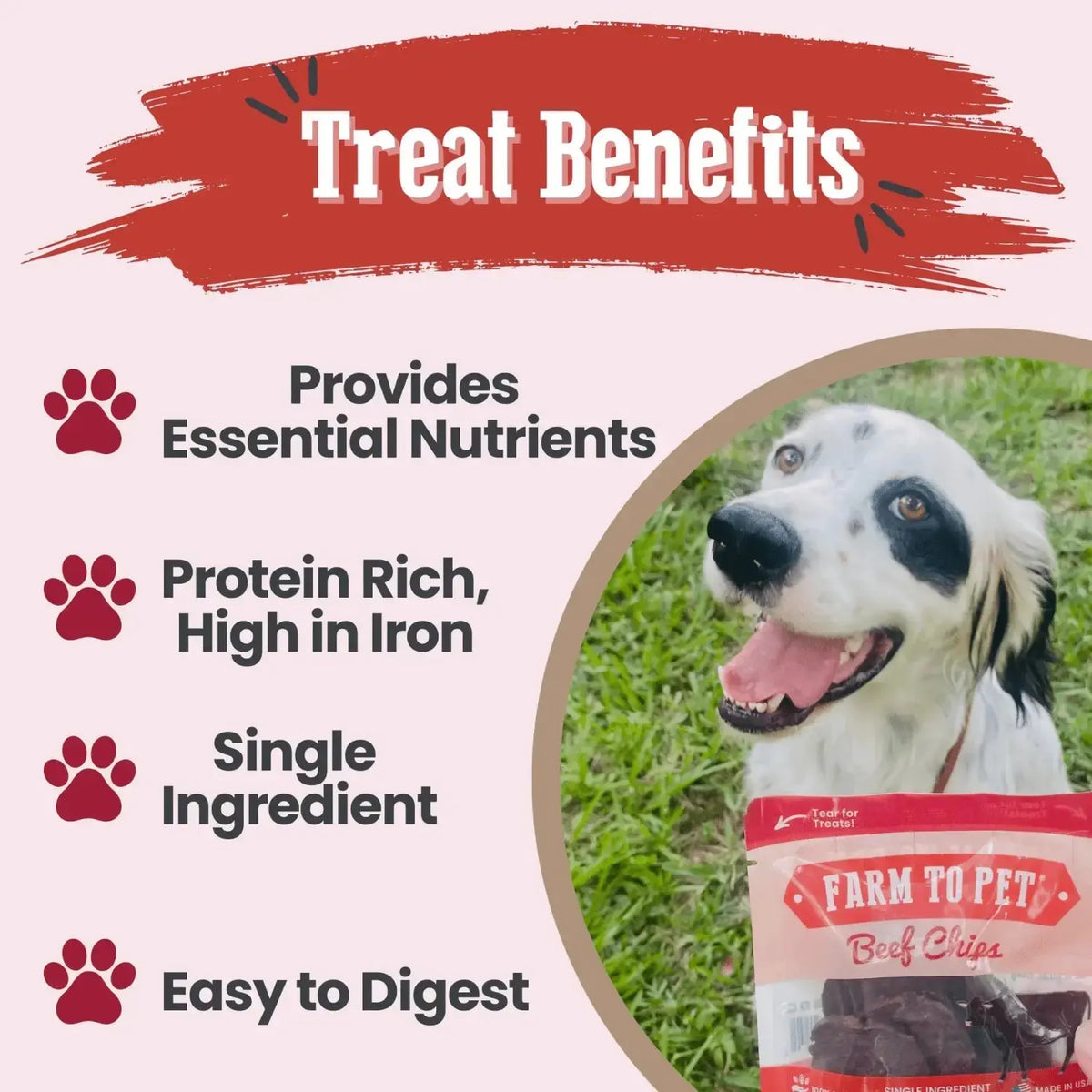 Beef Chip Dog Treats Snack Pack Bundles | Training & Travel - Snack Pack