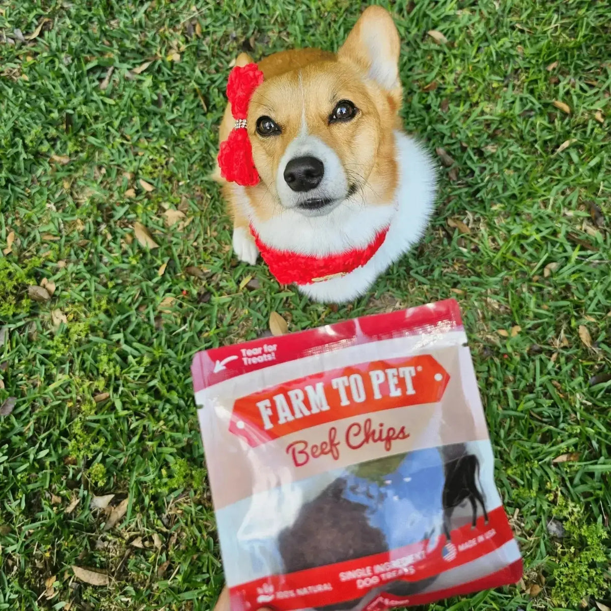 Beef Chip Dog Treats Snack Pack Bundles | Training & Travel - Snack Pack