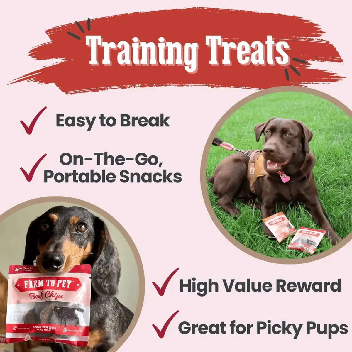 Beef Chip Dog Treats Snack Pack Bundles | Training & Travel - Snack Pack
