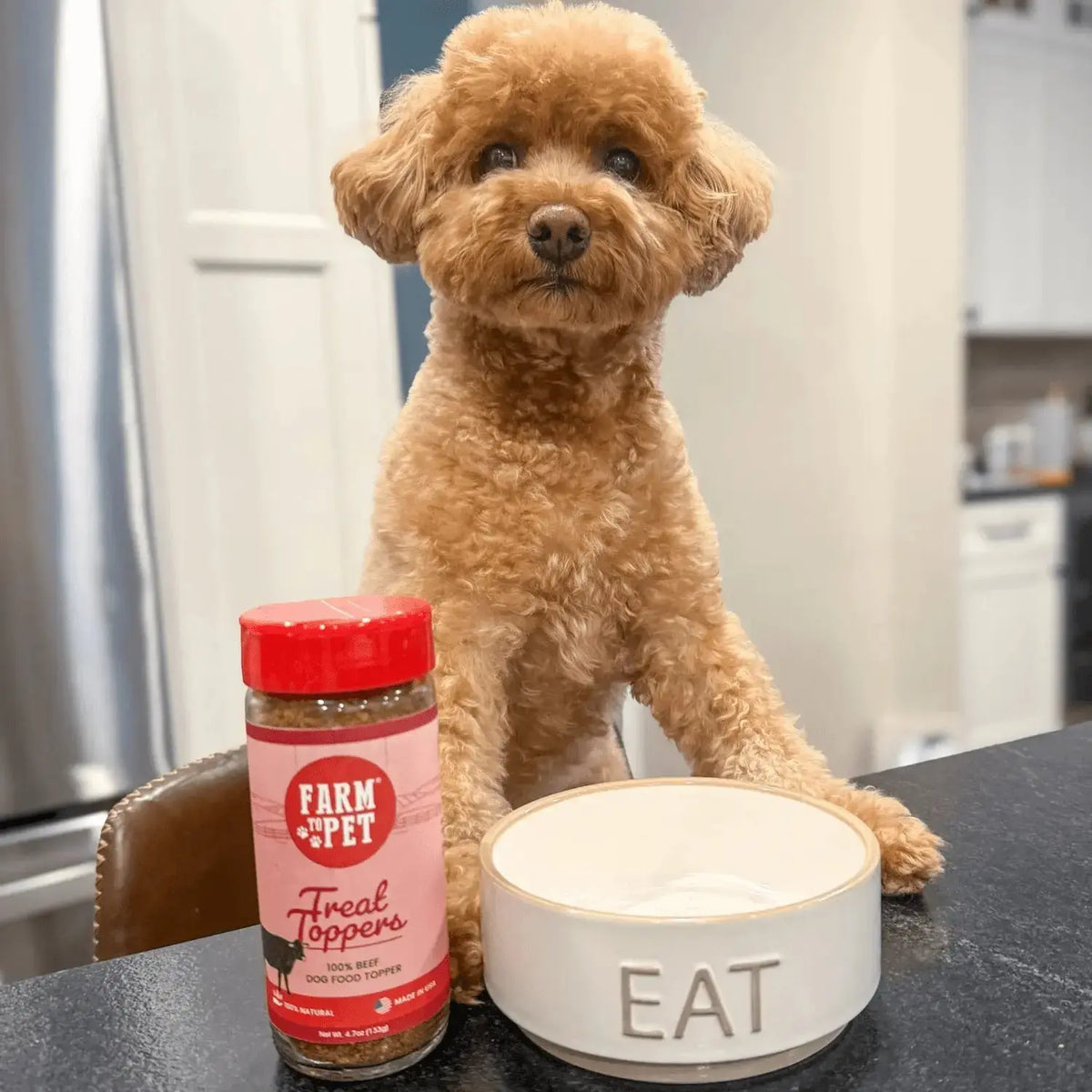 Beef Dog Food Topper | Powdered Meal Topper for Pets - Topper