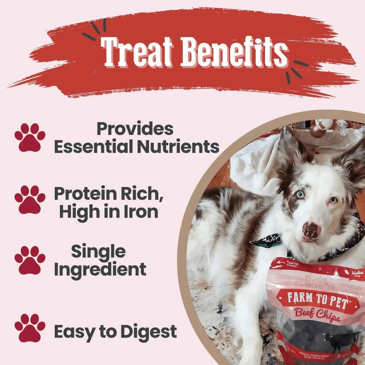 Beef Dog Treats | Single-Ingredient Healthy Treats for Dogs - Chip