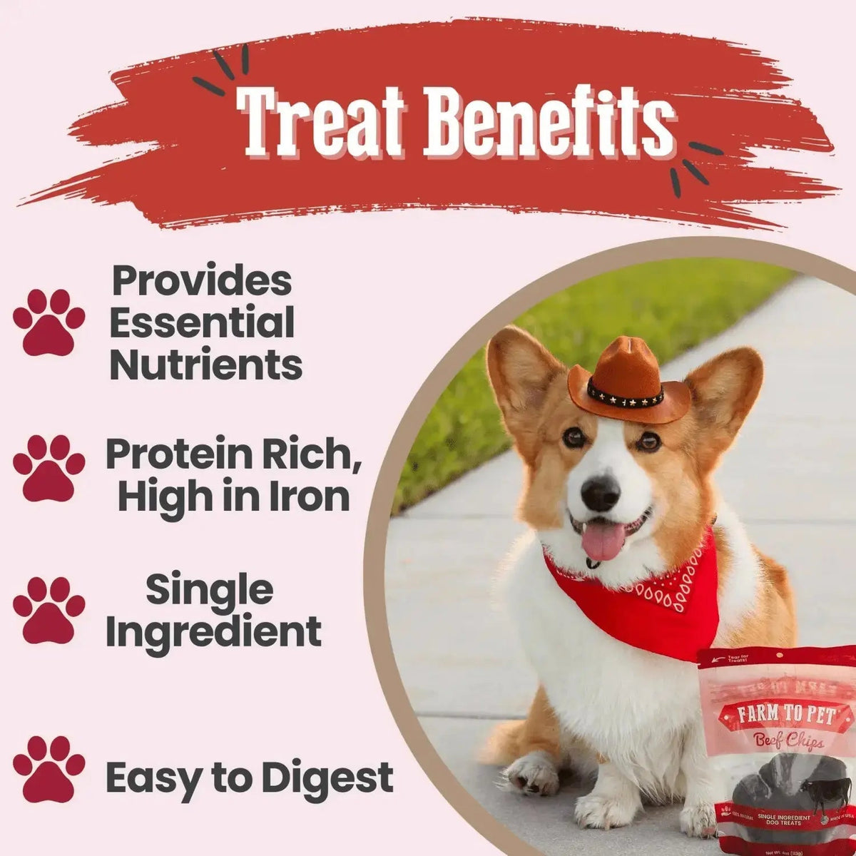 Beef Dog Treats | Single-Ingredient Healthy Treats for Dogs - Chip