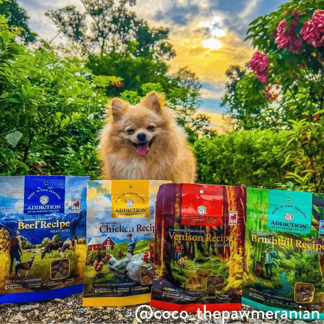 Beef Meaty Bites - Hypoallergenic Dog Treats Addiction Pet Foods USA