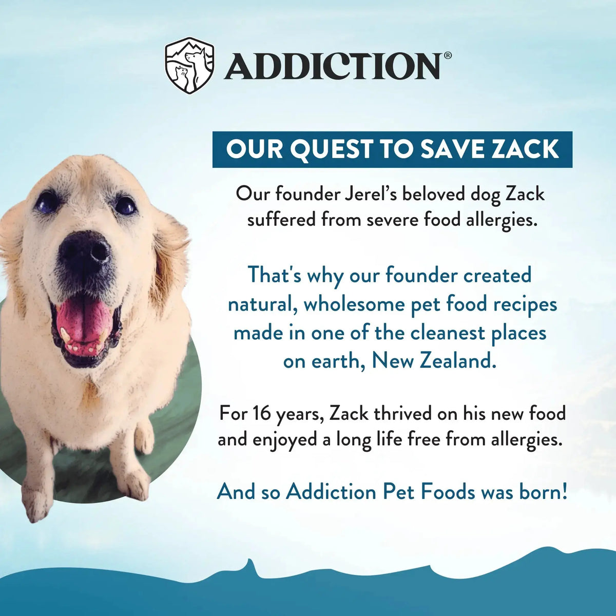 Beef Meaty Bites - Hypoallergenic Dog Treats Addiction Pet Foods USA