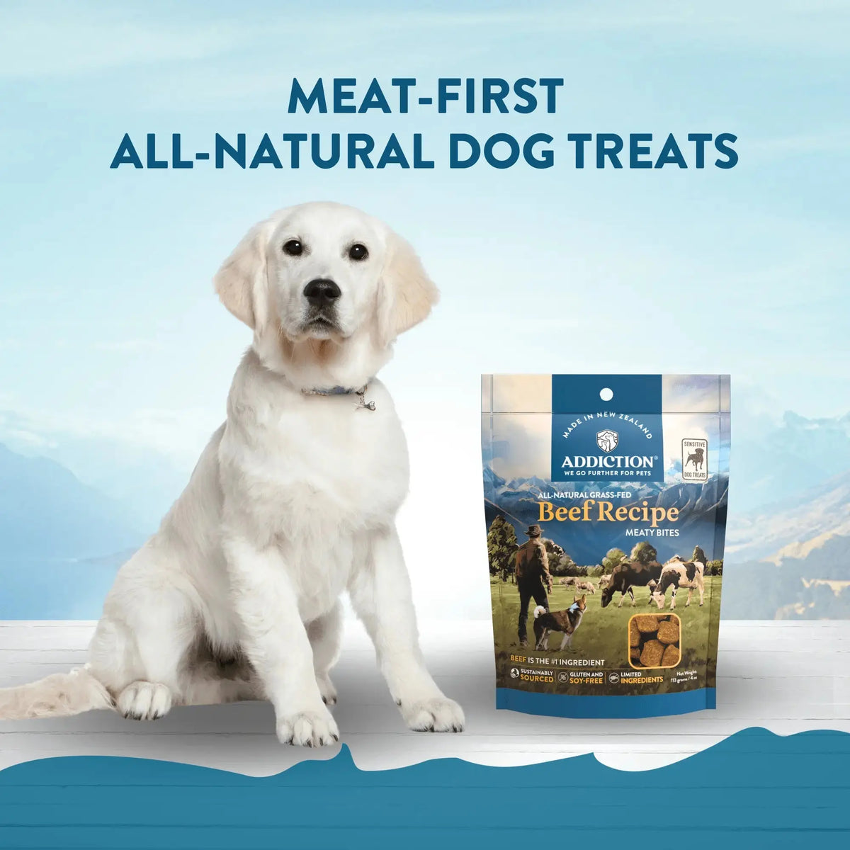Beef Meaty Bites - Hypoallergenic Dog Treats Addiction Pet Foods USA