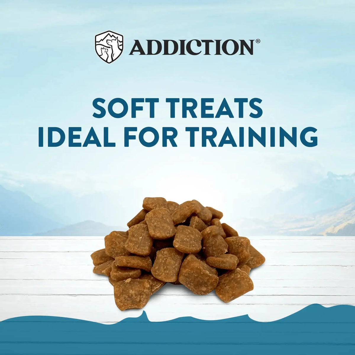 Beef Meaty Bites - Hypoallergenic Dog Treats Addiction Pet Foods USA