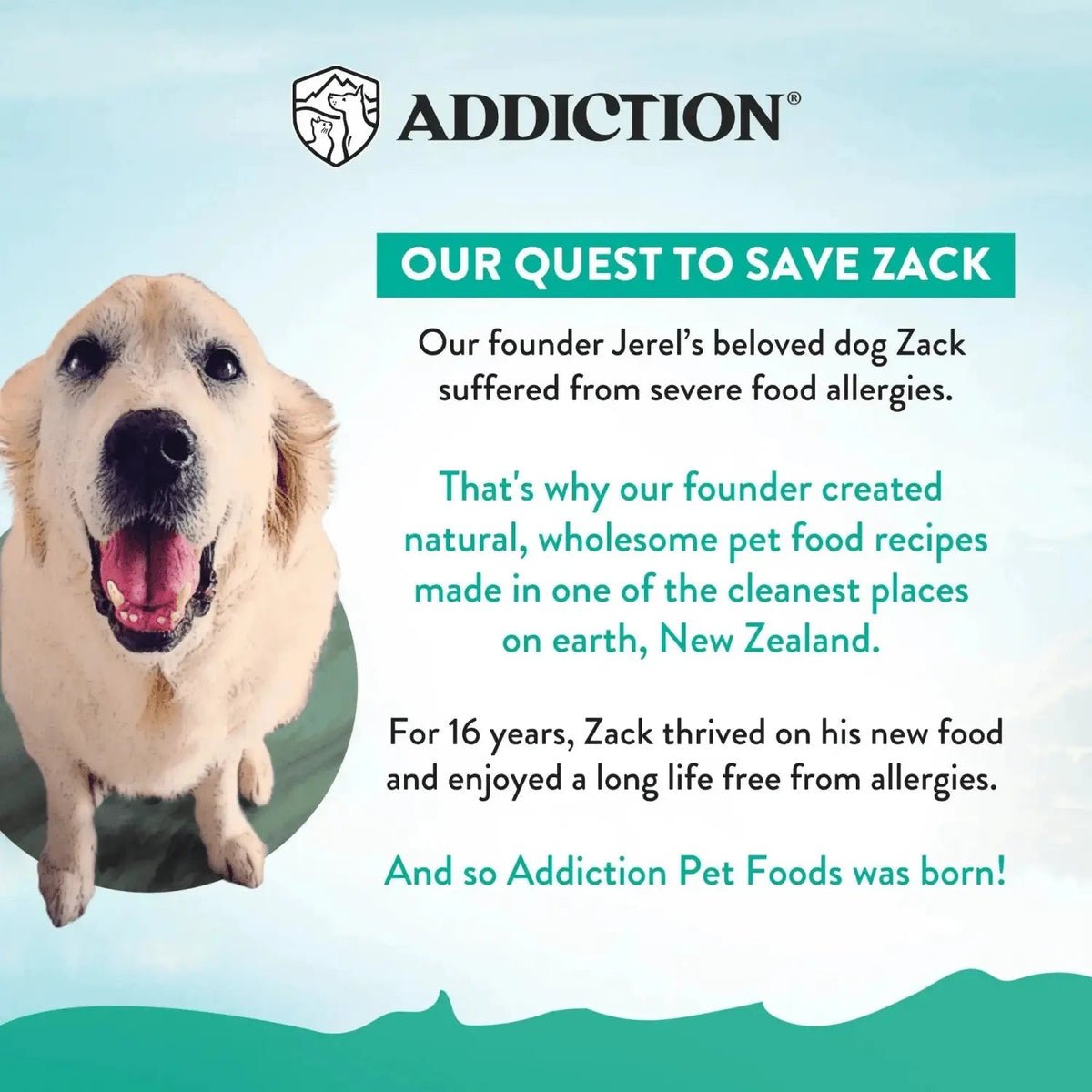 Brushtail Meaty Bites - Hypoallergenic Dog Treats Addiction Pet Foods USA
