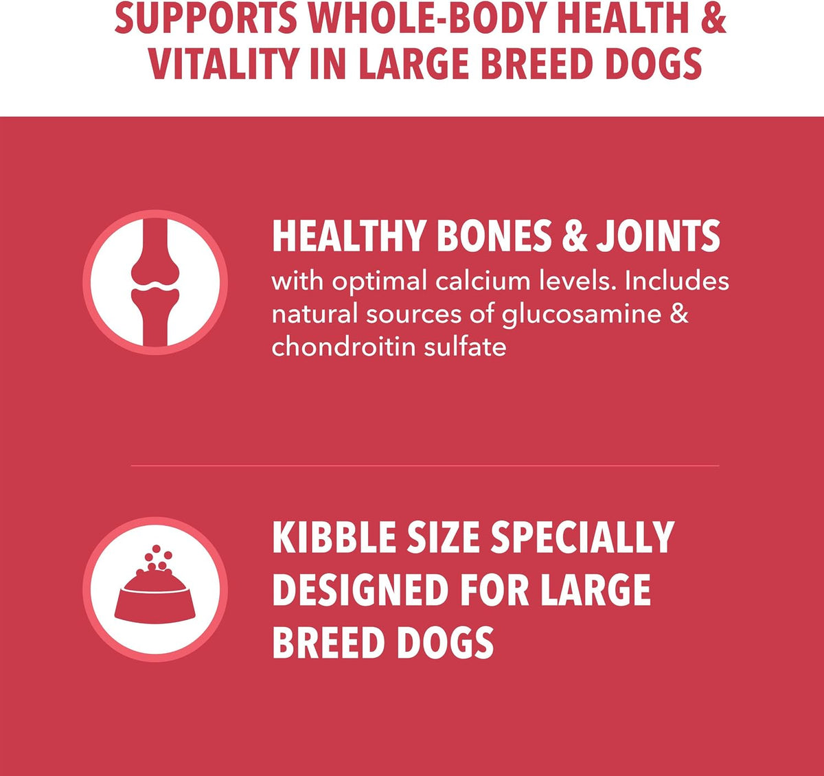 Proactive Health Large Breed Dry Dog Food, Lamb & Rice, 40 Lb
