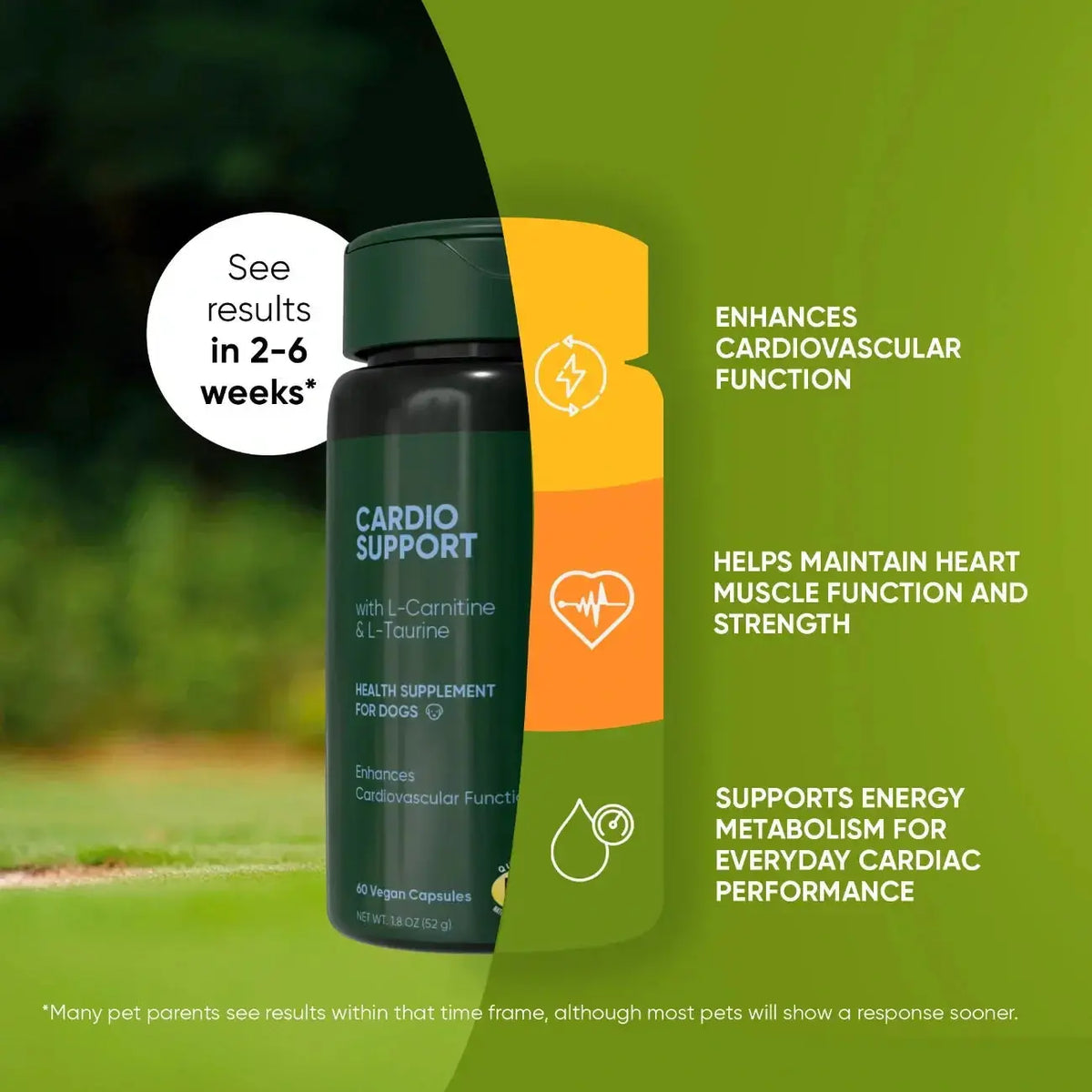 Cardio Support Rooted Owl Pet Supplements