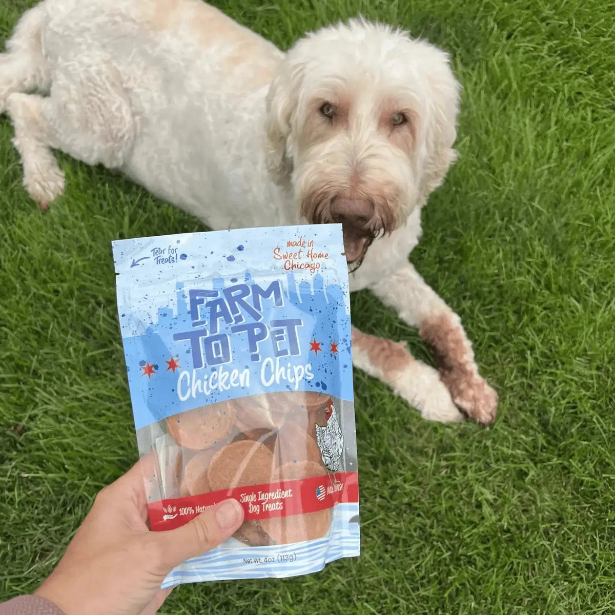 Chicago Chicken Chips for Dogs | Hometown Dog Treats - Chip