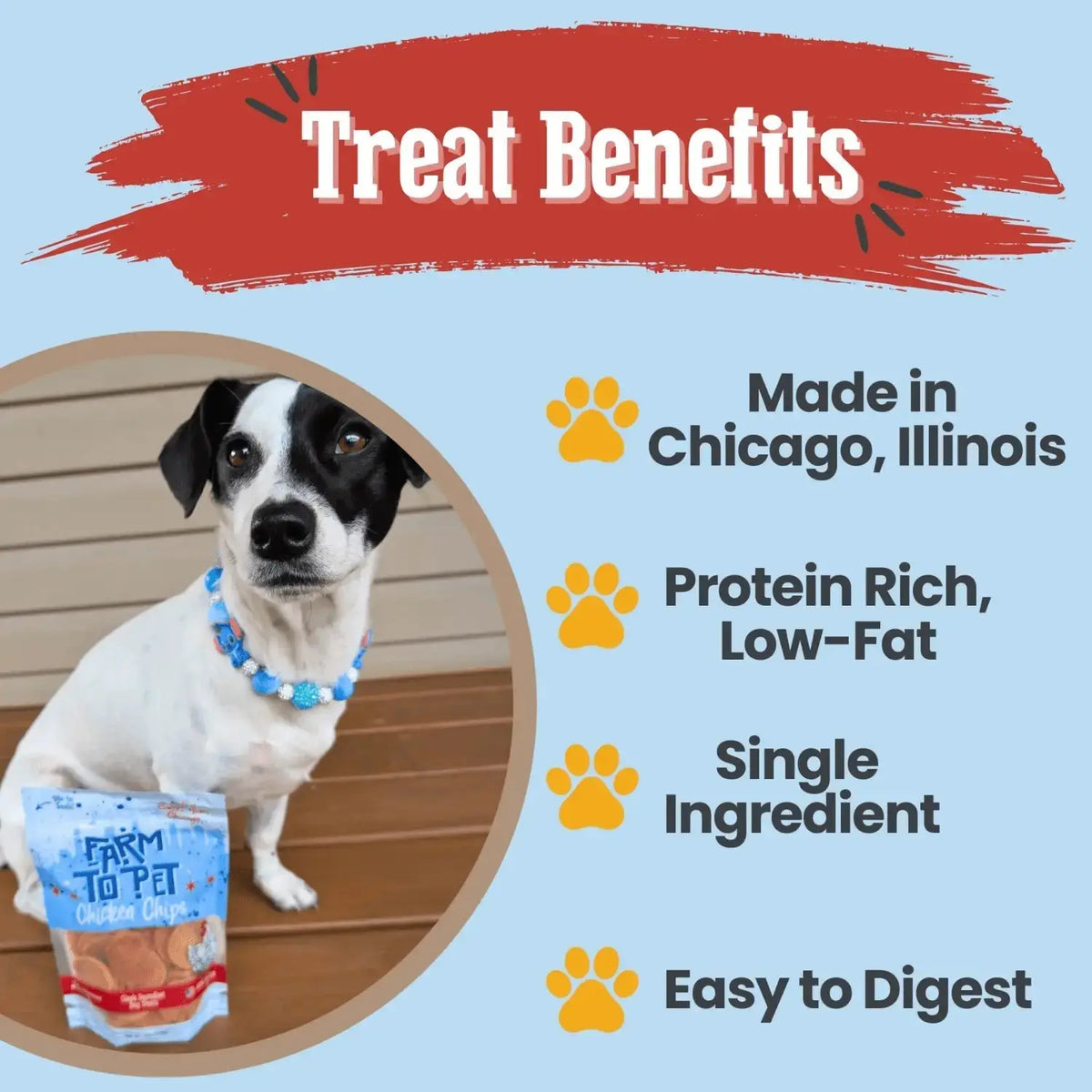 Chicago Chicken Chips for Dogs | Hometown Dog Treats - Chip