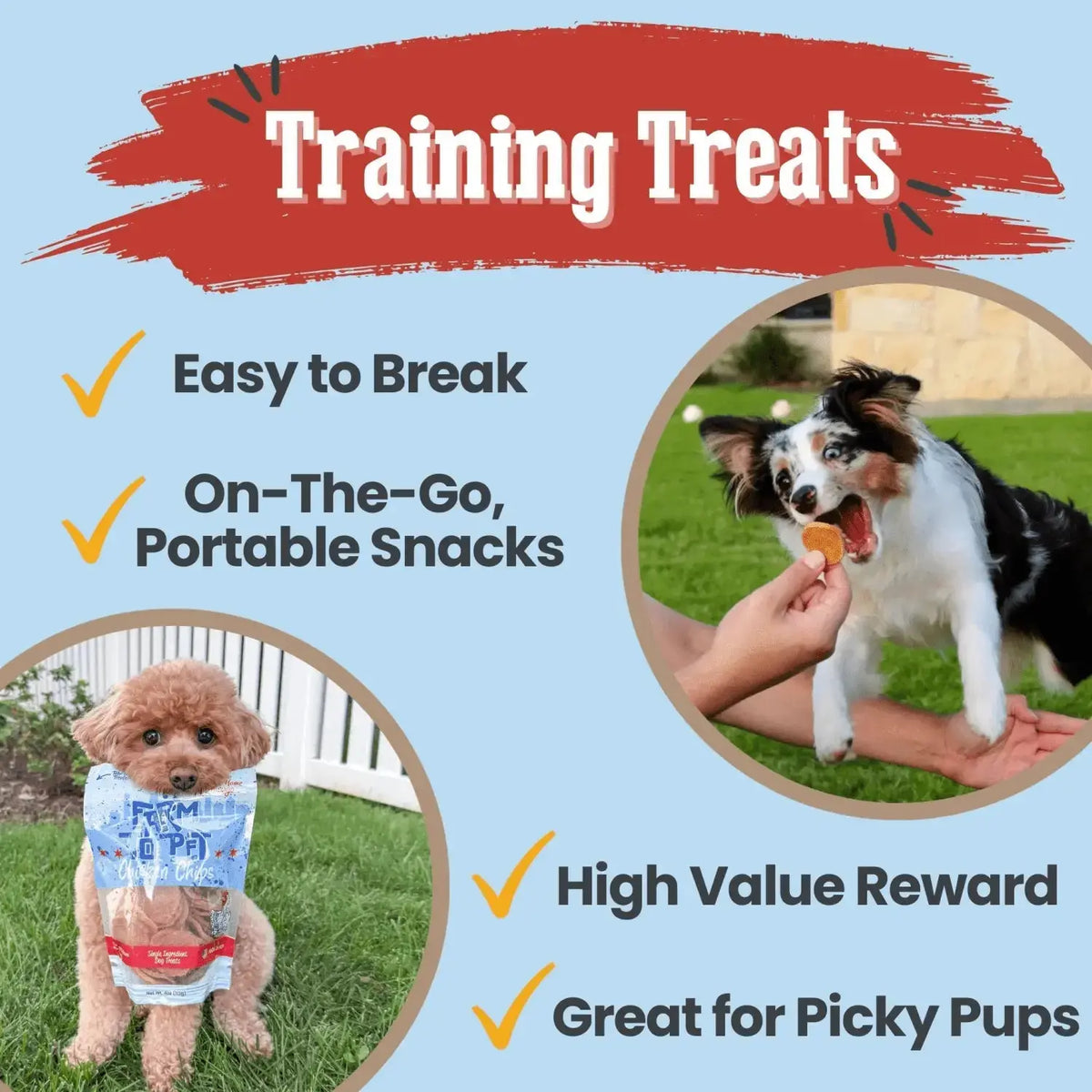 Chicago Chicken Chips for Dogs | Hometown Dog Treats - Chip