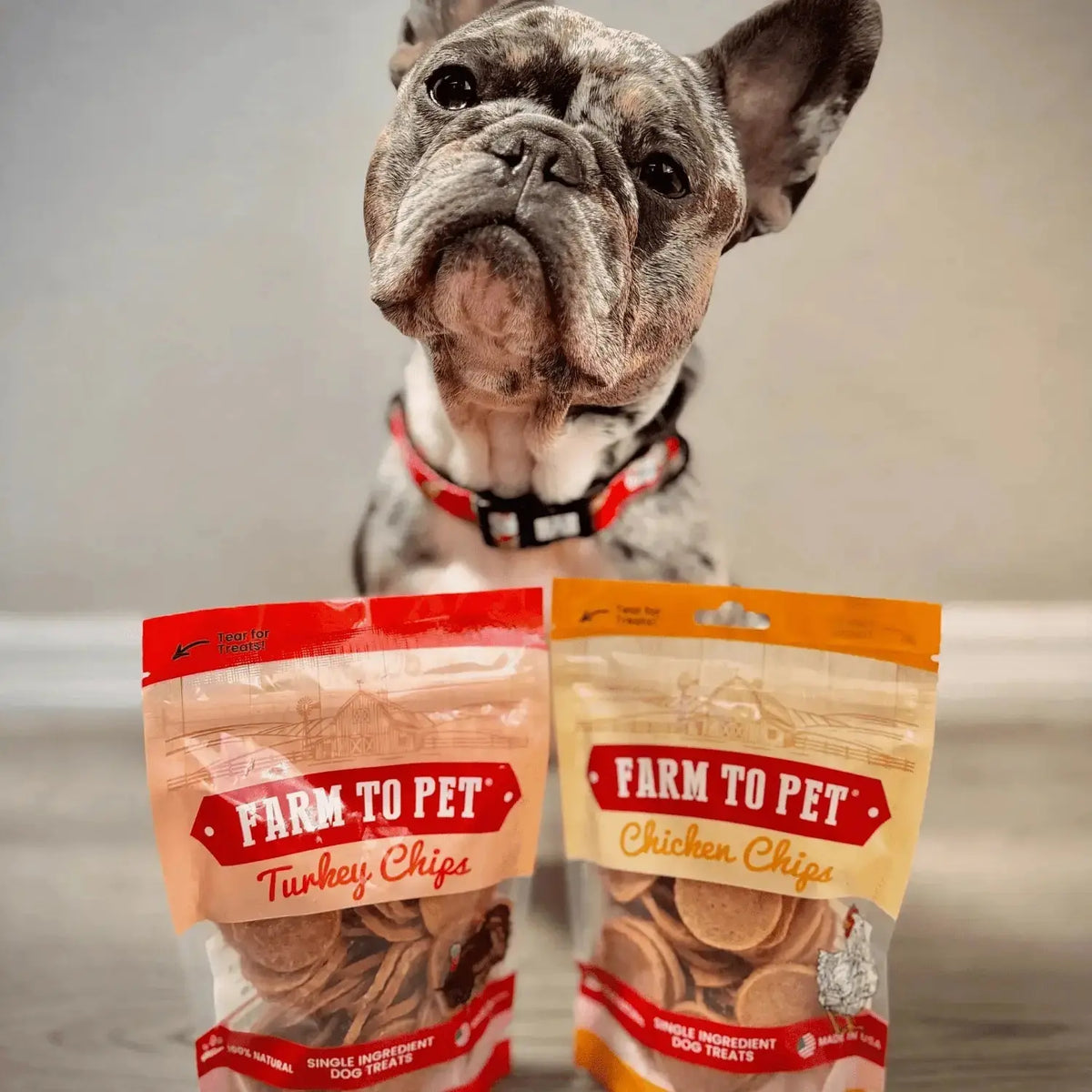 Chicken and Turkey Dog Treats Duo | Single-Ingredient Poultry Treats - Chip