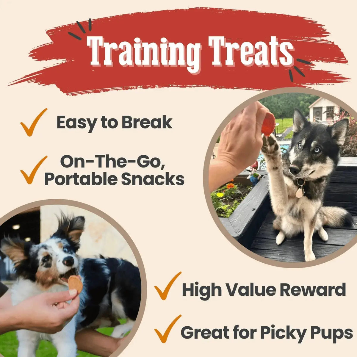 Chicken and Turkey Dog Treats Duo | Single-Ingredient Poultry Treats - Chip