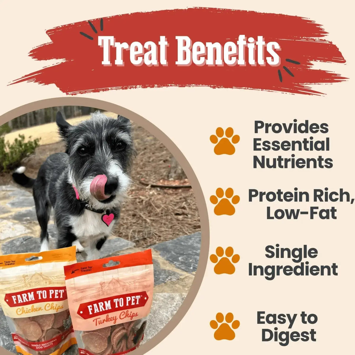 Chicken and Turkey Dog Treats Duo | Single-Ingredient Poultry Treats - Chip