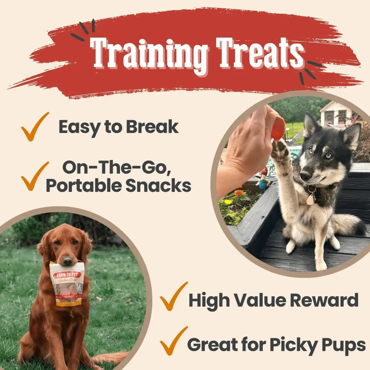 Chicken and Turkey Dog Treats Duo | Single-Ingredient Poultry Treats - Chip