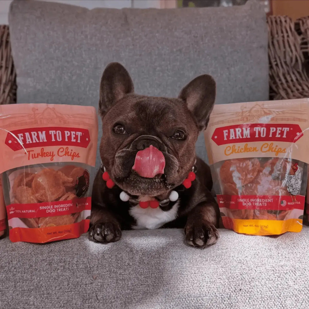 Chicken and Turkey Dog Treats Duo | Single-Ingredient Poultry Treats - Chip