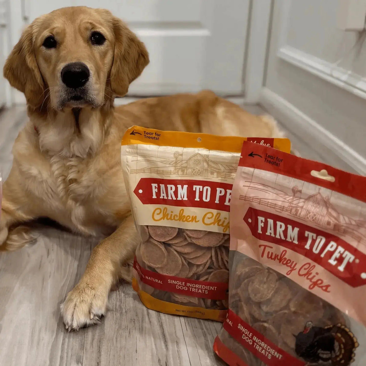 Chicken and Turkey Dog Treats Duo | Single-Ingredient Poultry Treats - Chip
