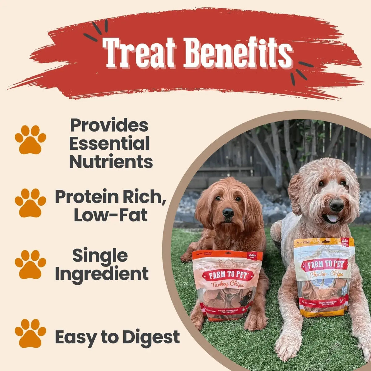 Chicken and Turkey Dog Treats Duo | Single-Ingredient Poultry Treats - Chip