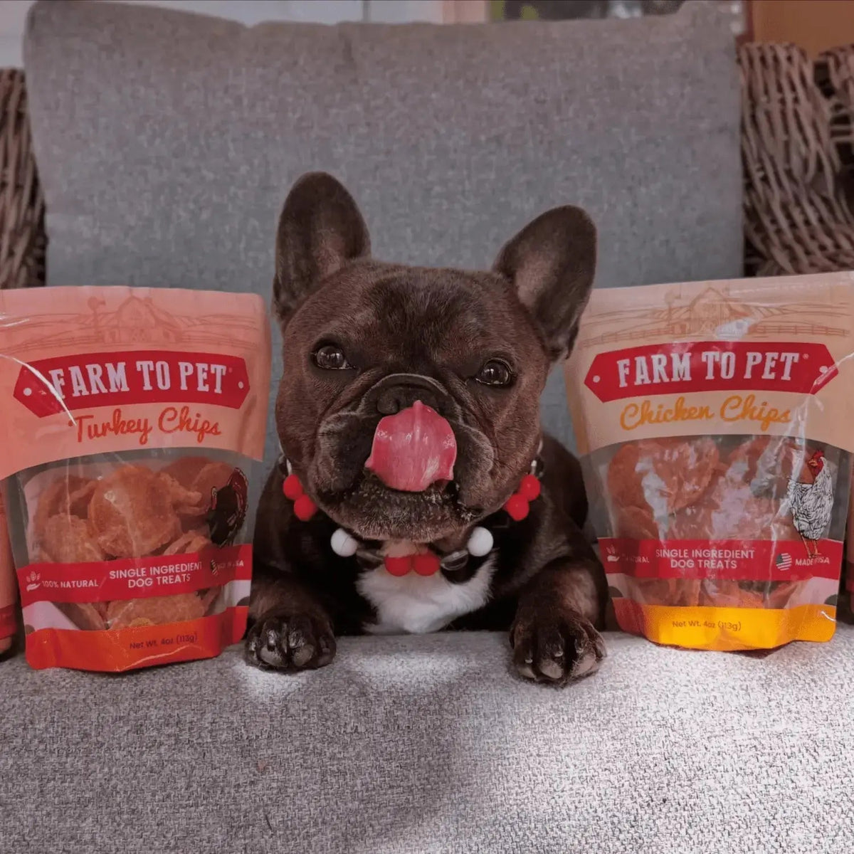 Chicken and Turkey Dog Treats Duo | Single-Ingredient Poultry Treats - Chip