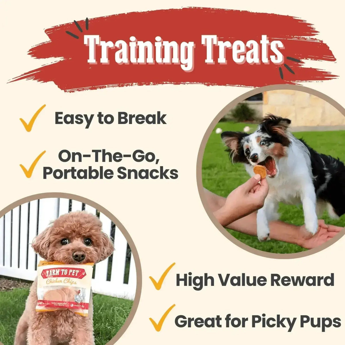 Chicken Chip Snack Packs | Dog Party Favors & Training Treats - Snack Pack
