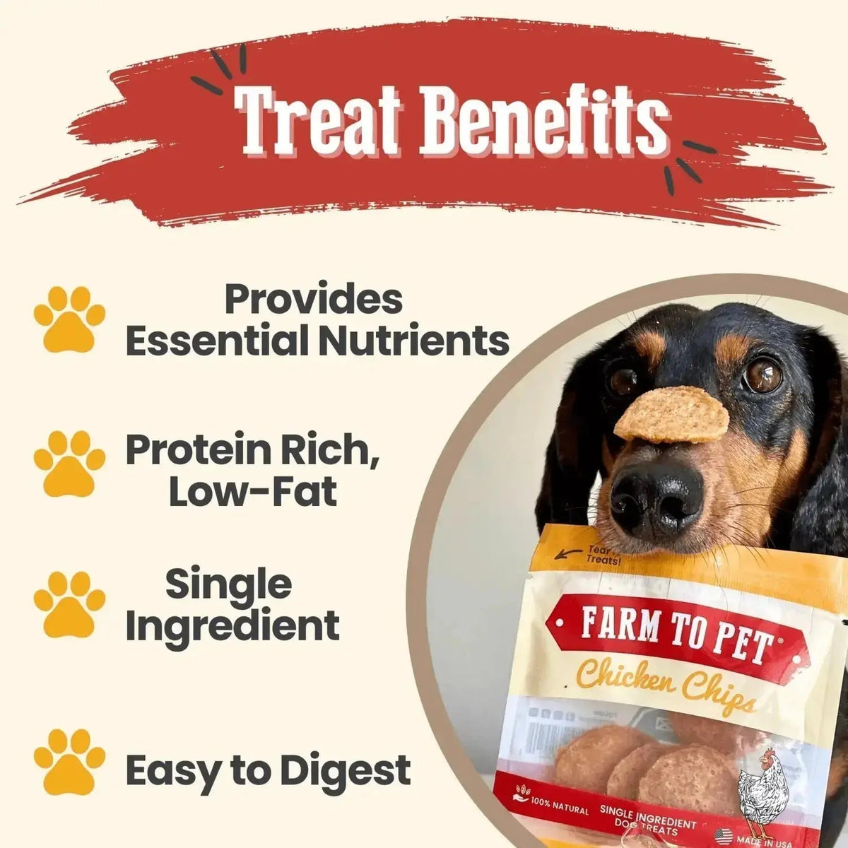 Chicken Chip Snack Packs | Dog Party Favors & Training Treats - Snack Pack