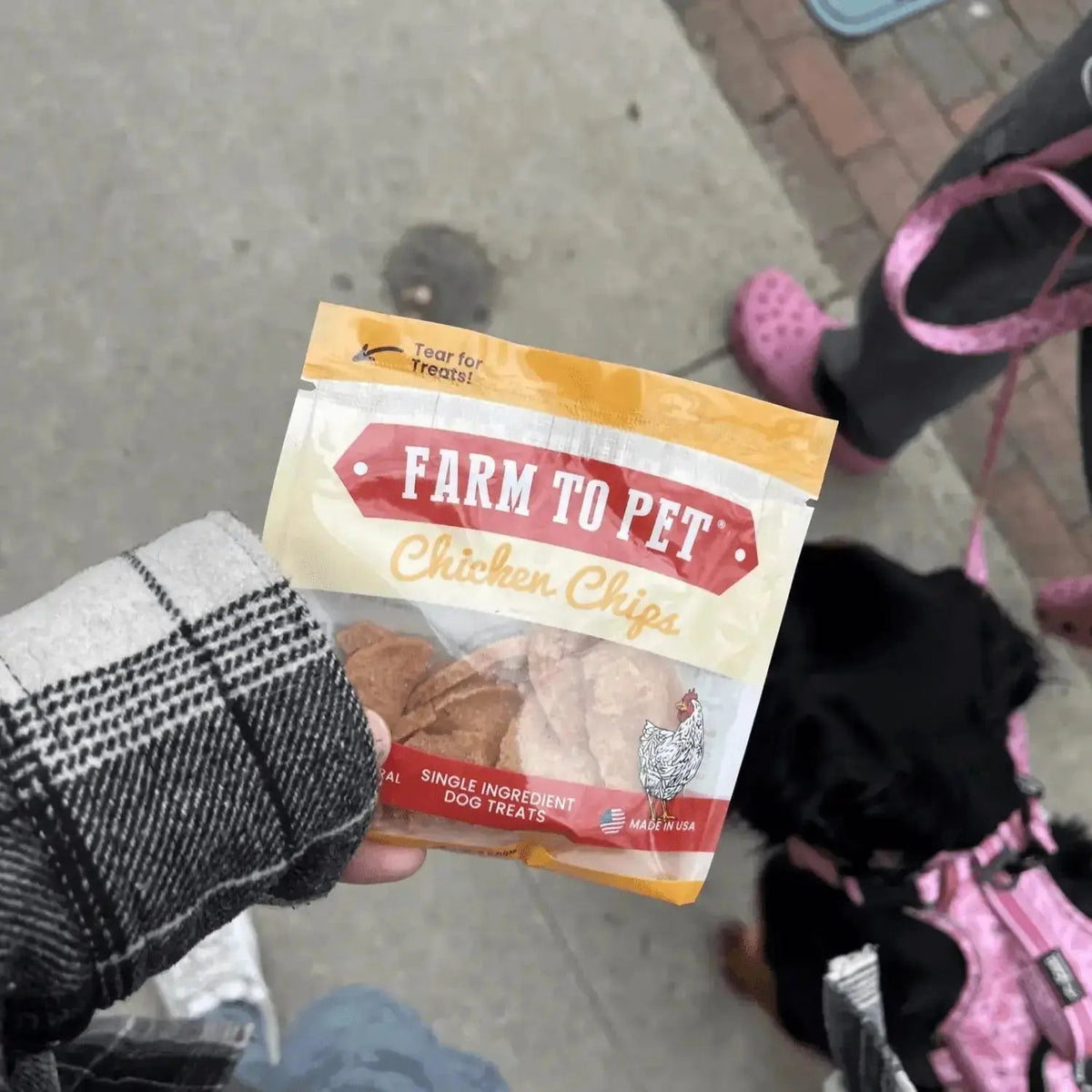 Chicken Chip Snack Packs | Dog Party Favors & Training Treats - Snack Pack